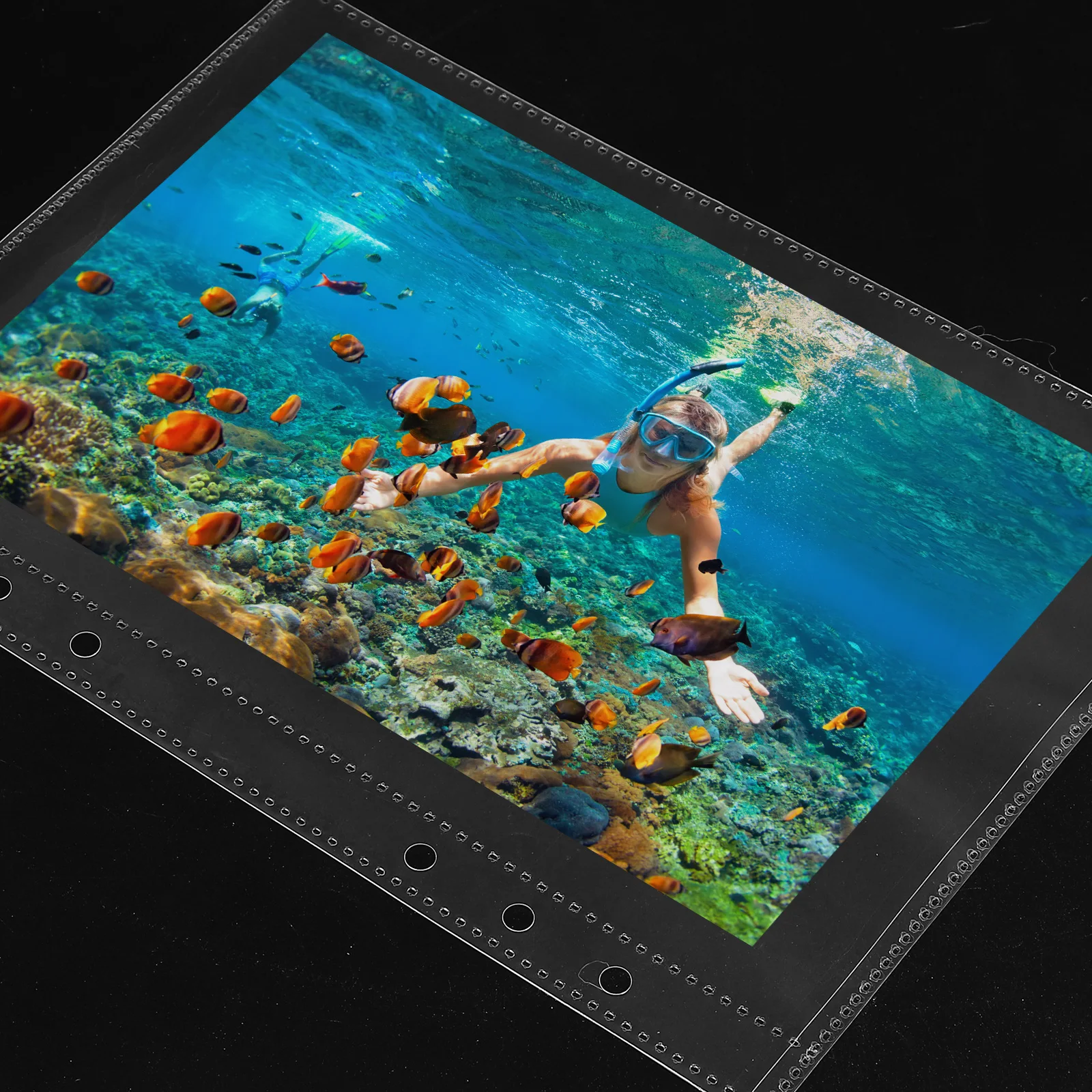 

20 Pcs Transparent Photo Album Pages Work Sheet Protectors A5 Reusable Sheet Protectors Storage Bag File Pockets Binder Inserts