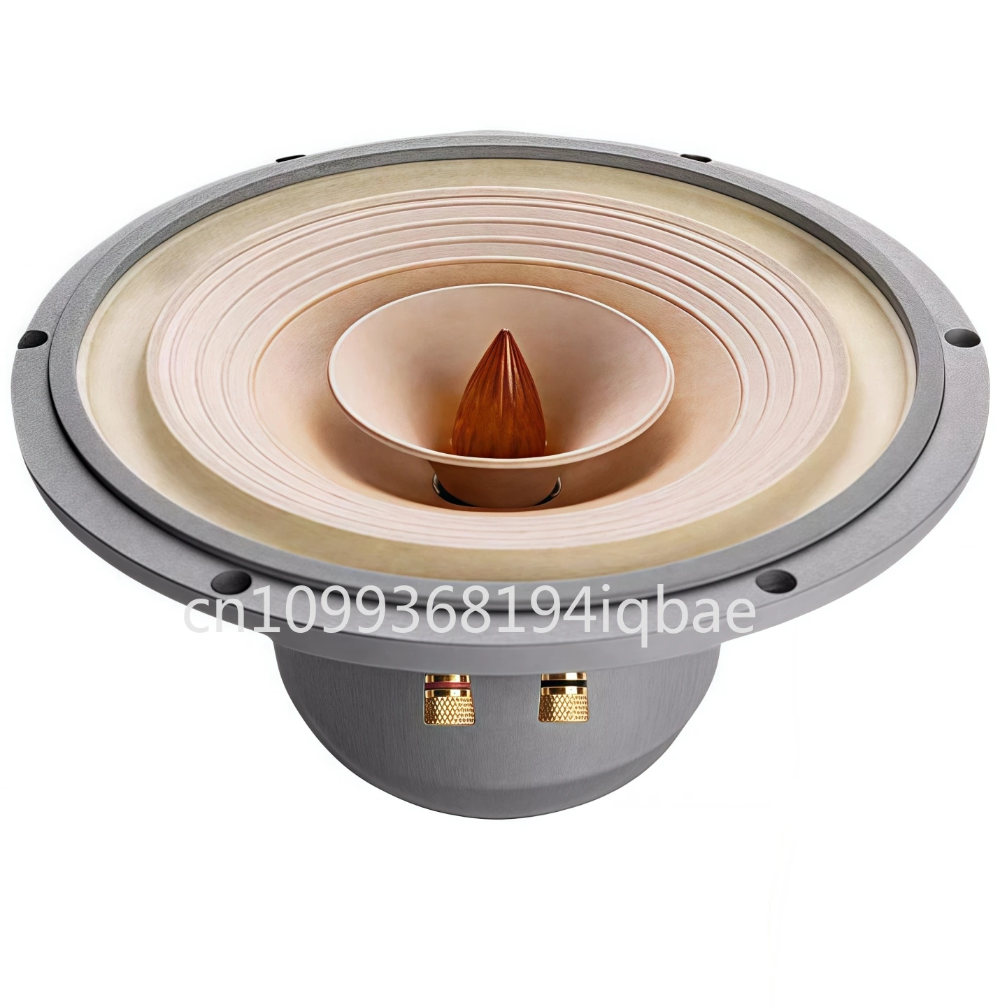 Genuine High-Quality 10-Inch Full-Range HiFi Speaker | Premium Audio Sound System