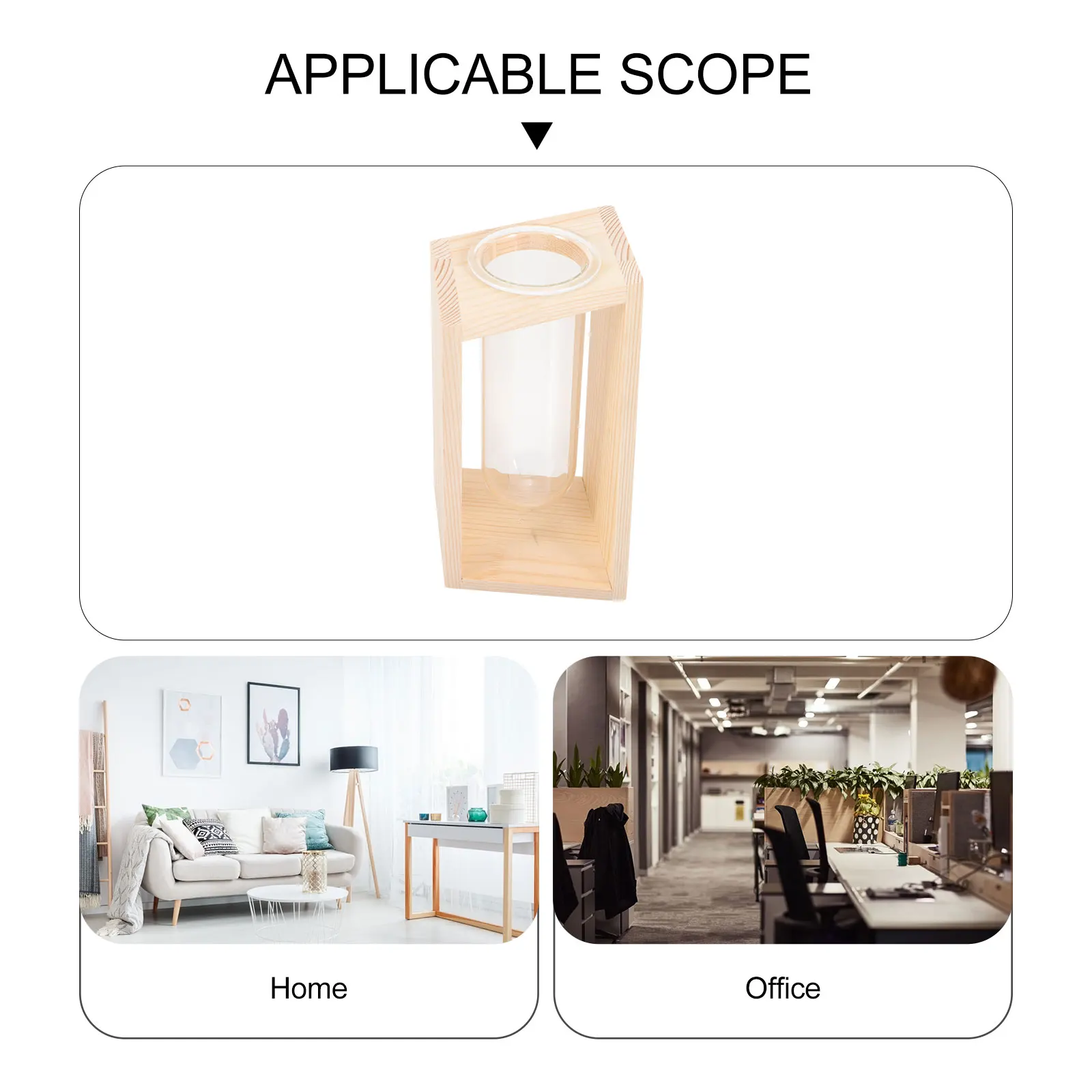 

Glass Test Tube Vase with Wood Rack Hydroponic Plant Holder Home Office Decor Clear Design Test Tubes for Plants