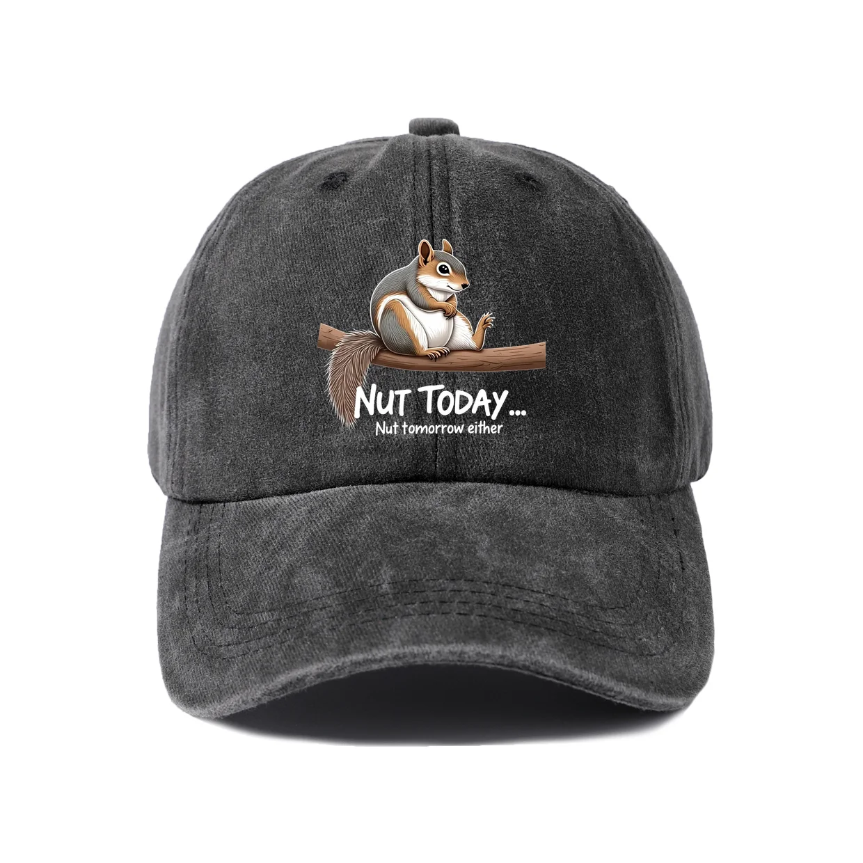 Funny Squirrel Nut Quote Graphic Baseball Cap, Vintage Washed Adjustable Unisex Dad Hat, Streetwear Gift
