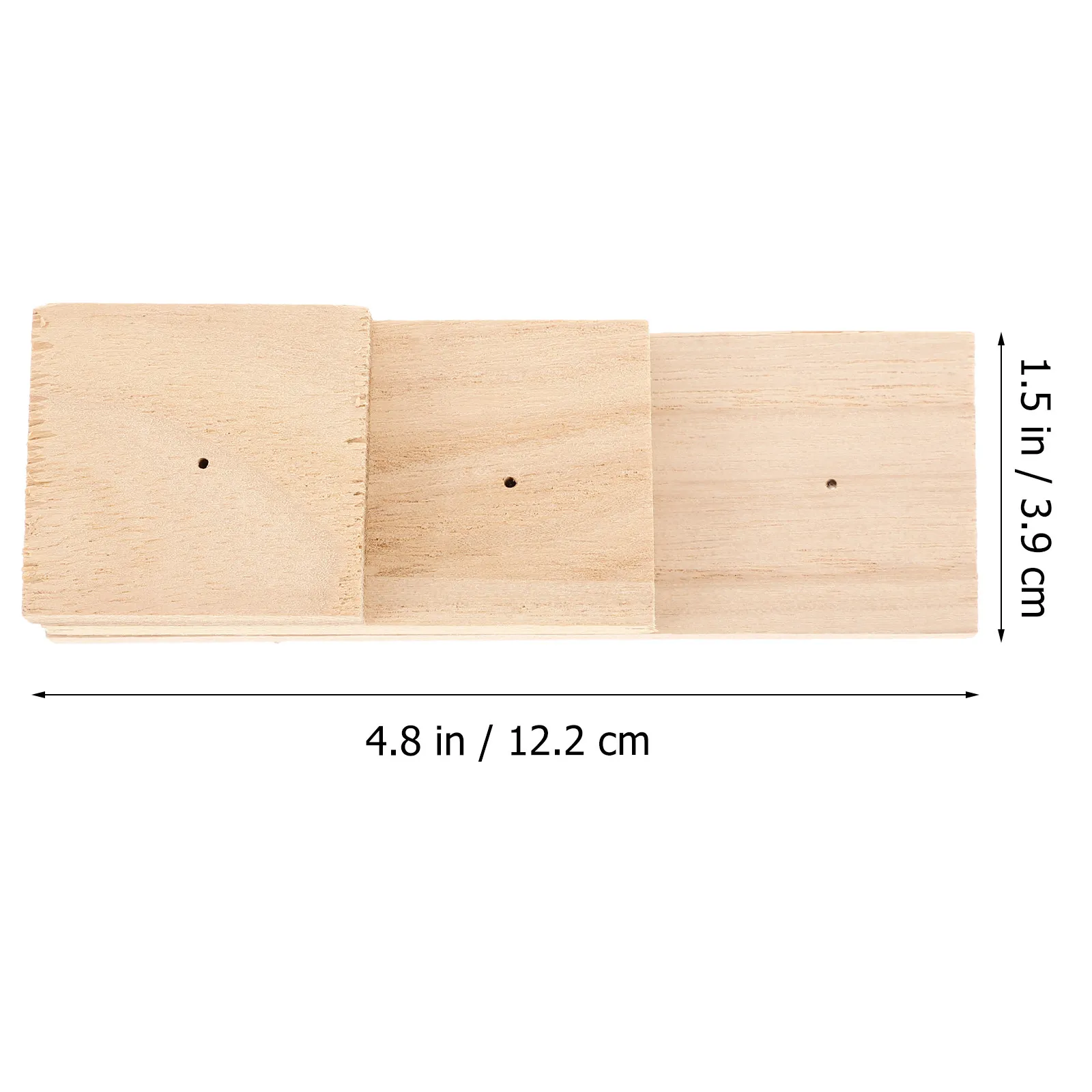 Natural Wood Specimen Display Block Insect Pinning Stand Creative Chic Specimen Showing Rack for DIY Collection Gift Laboratory