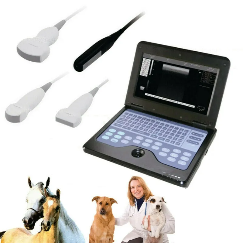 

Veterinary Vet Probes Hand Held Ultrasound Scanner Portable Ultrasound Scanner for Animal Care and Supplies
