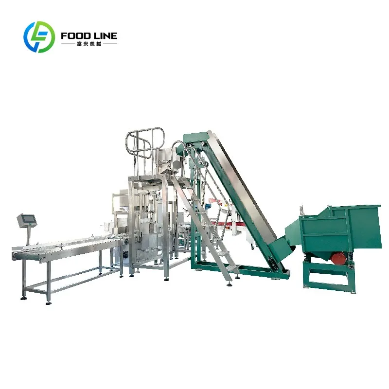 Picture 4: Customized Automatic Carton Case Erector Bottom Sealing Machine for Warehouse Logistics Packaging