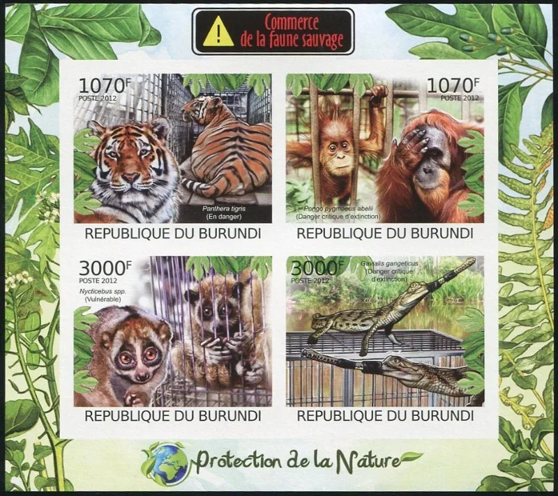 Burundi, 2012, Tigers, Monkeys, Animals, Toothless, Real Original Post Stamps, MNH