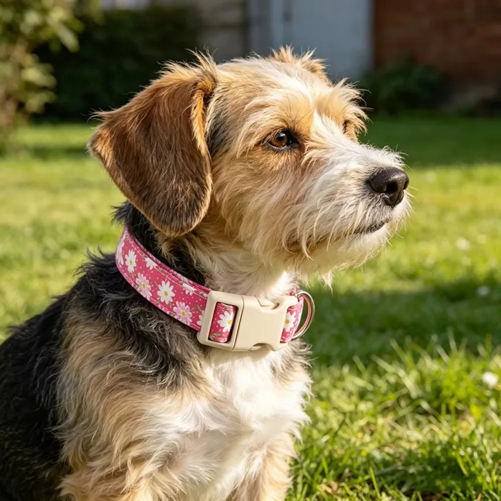 Pink Daisy Dog Cat Collar Adjustable Soft Floral Pet Collar Quick Release Buckle D Ring for Small Medium Dogs Cats Puppy Kitten