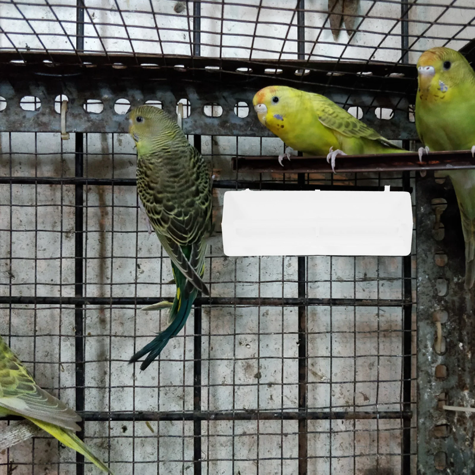

6 Pcs Bird Cage Food Box Durable Pet Bowl Peony Feeder Parrot Feeding Convenient