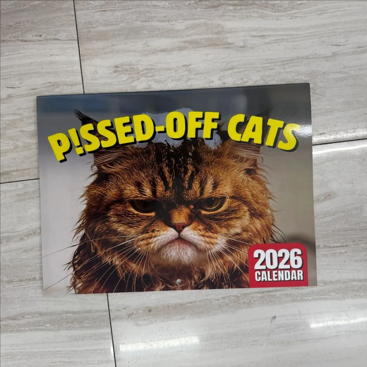 Angry Cat Calendar 2026 - Funny Monthly Planner with Bold 