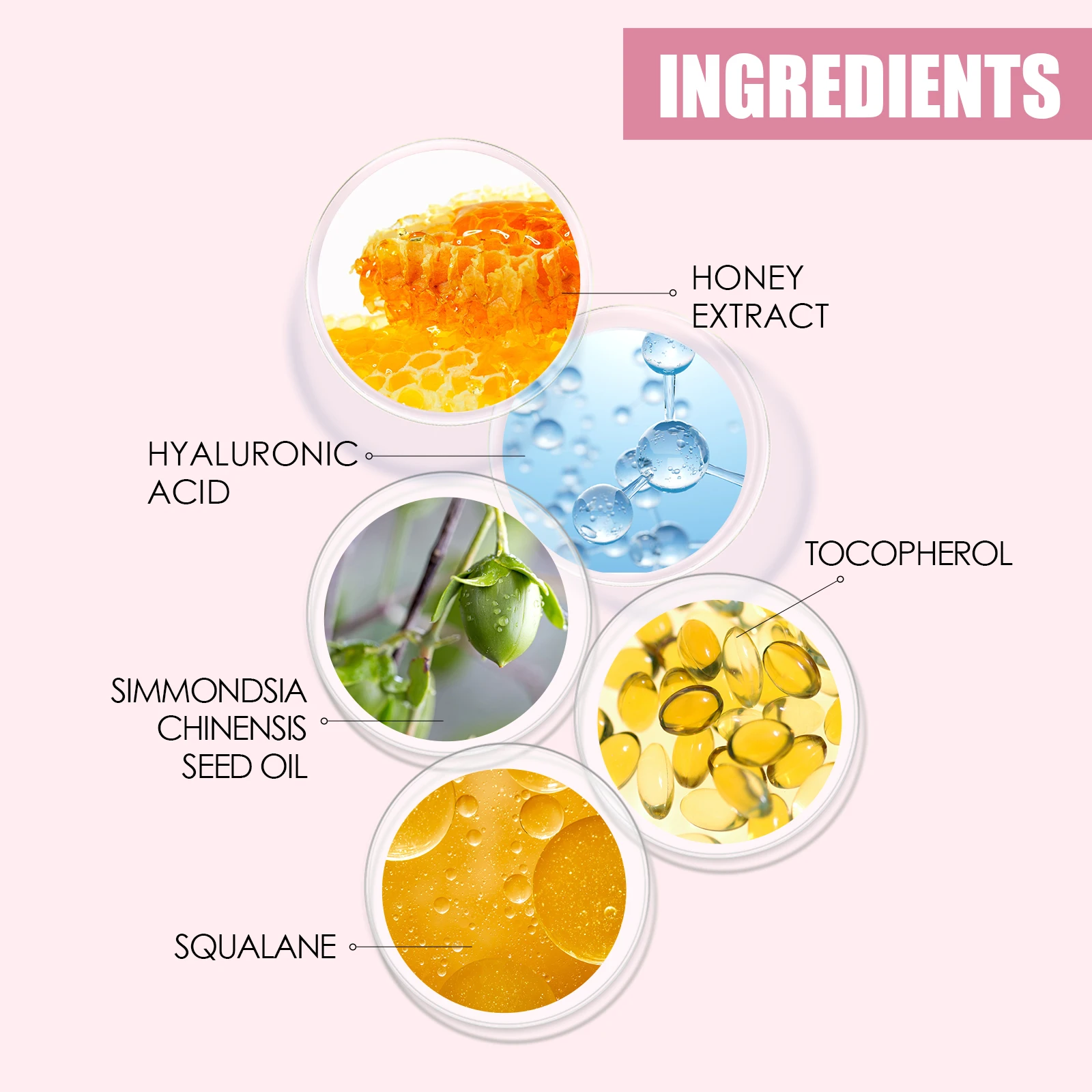 EELHOE Miodowy Balsam do Ust VE Naturalny Długotrwały Nawilżający Seksowny Powiększający Usta Wygładzający Przeciw Pękaniu Zdrowy Makijaż Pielęgnacja Ust