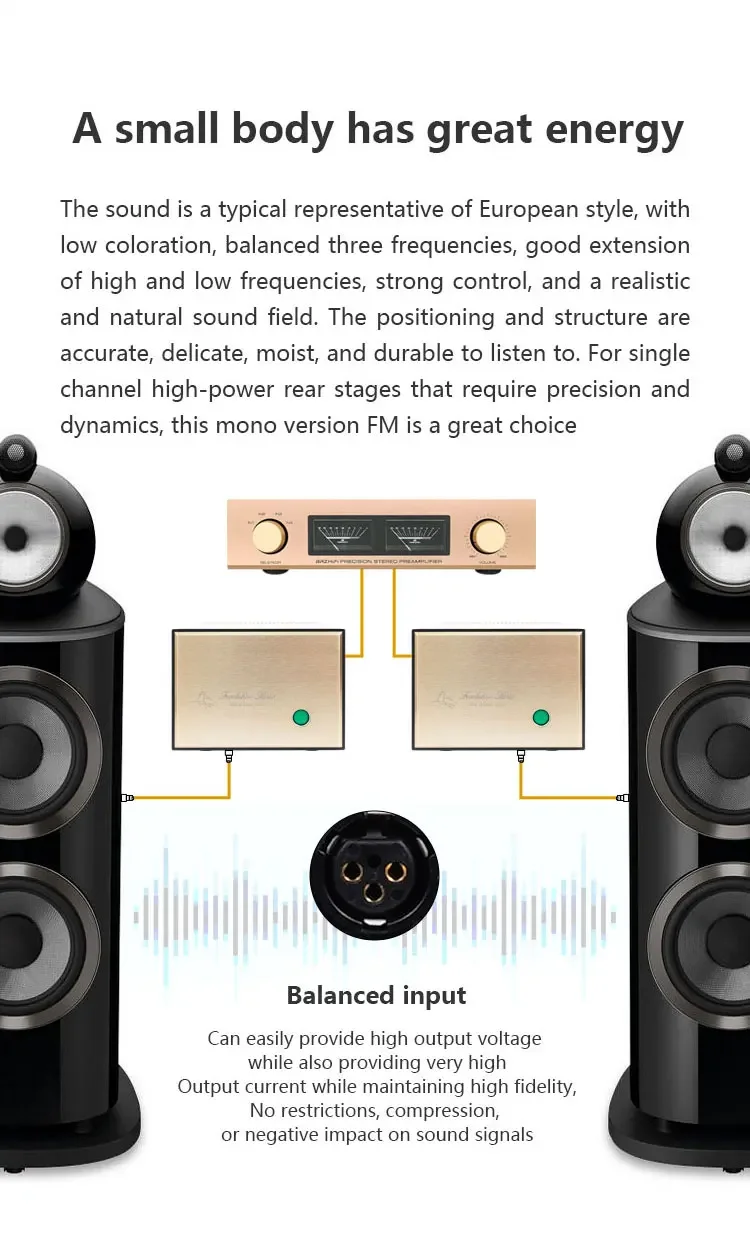 Straight cut FM111 line mono split high power amplifier hifi fever power amplifier home post level