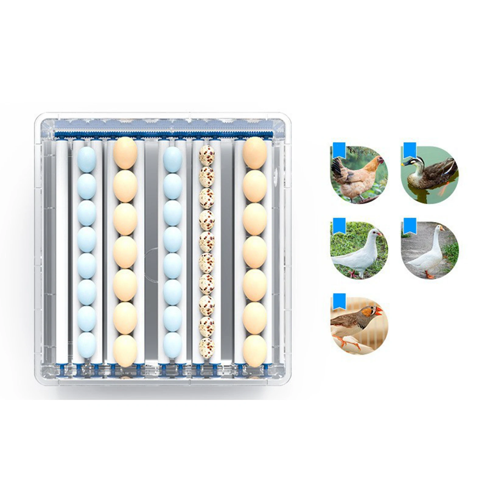 9/12/16 Egg Fully Automatic Incubator for Chicken Birds Duck Goose Egg Hatcher Machine Intelligent Incubation