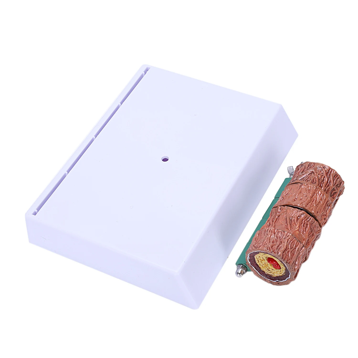 تصلب الشرايين نموذج التخثر أمراض الأوعية الدموية مظاهرة نموذج أمراض الأوعية الدموية على شكل قلب #4