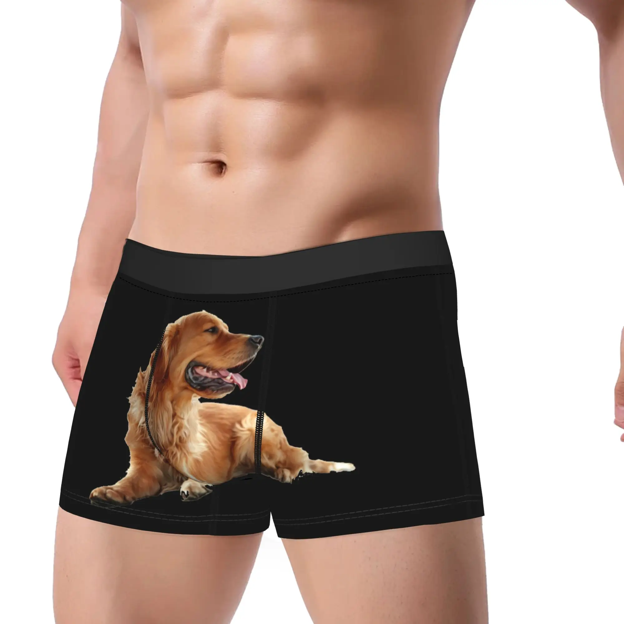 Golden Retriever Panting Tongue‑out Resting Pose Trunk  3D Pouch Underwear High Quality Boxer Brief Men Panties Plus Size 2XL