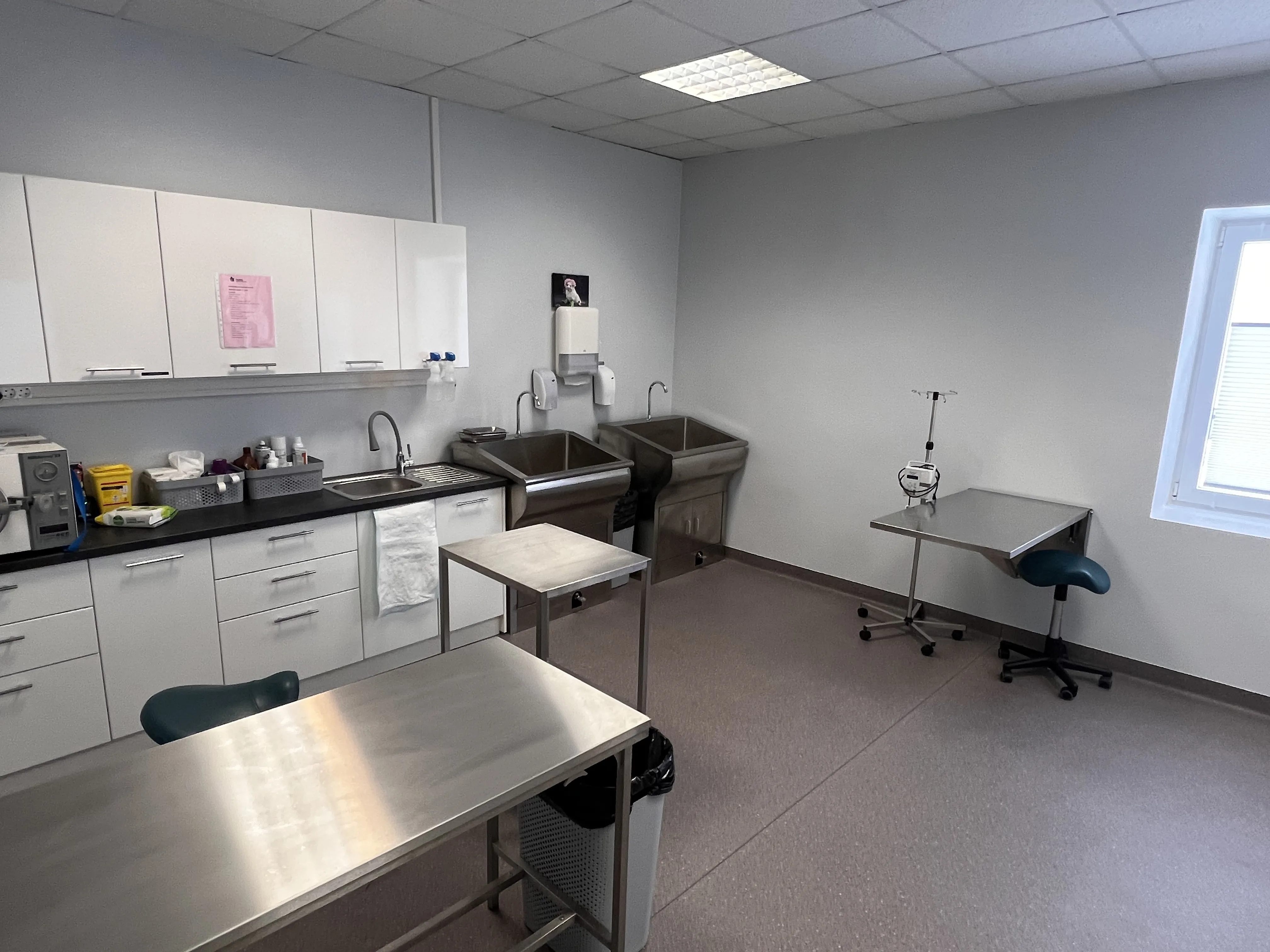 Professional 304 Stainless Steel Diagnosis Table Veterinary Examing Wall Mounted Folding Table