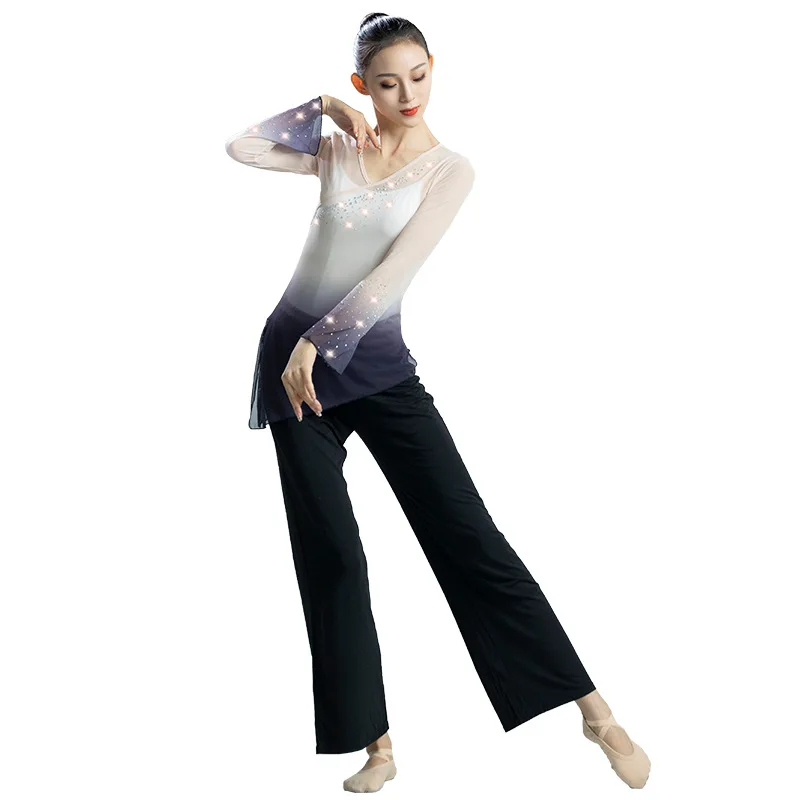 Classical dance gradual change gauze body rhyme long sleeve performance clothes Chinese dance