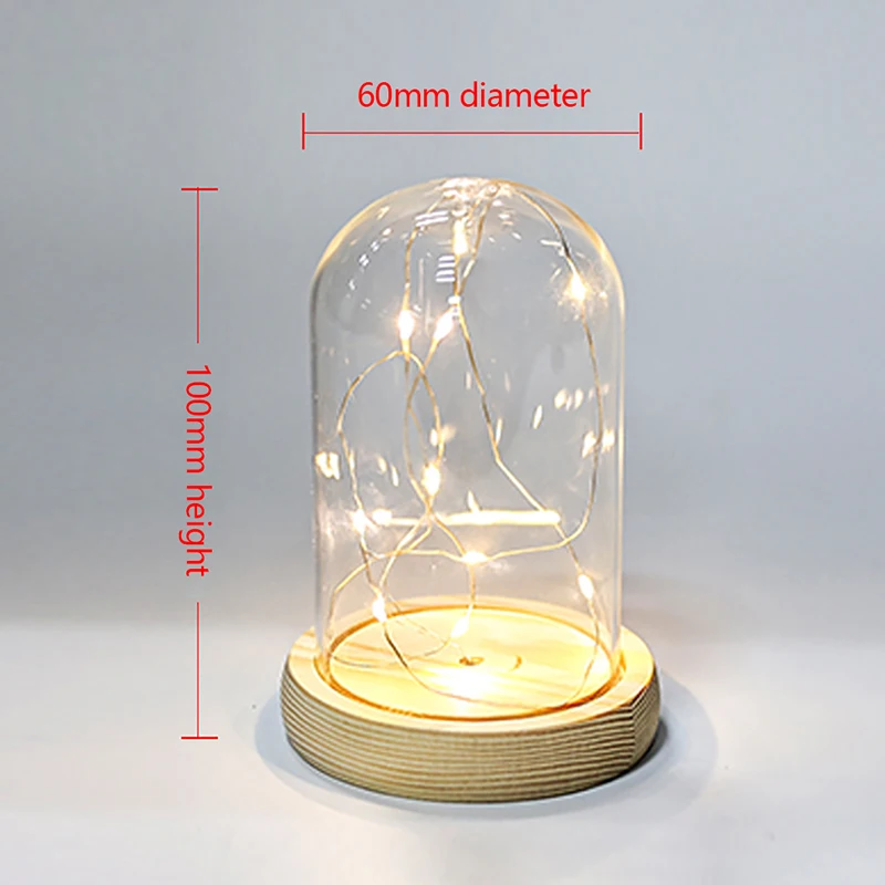 Glass Dome Cloche Cover Wood Cork Base Microlandscape Holder in LED Light Wooden Base for Gifts Decor Wedding favors Bridesmaid