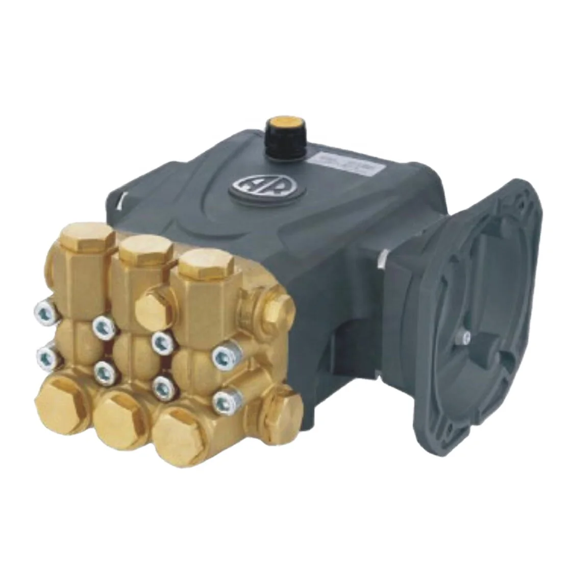 Triplex Plunger High Pressure Washer Pump Universal Replacement Water Pump for Car Wash Cleaning Machine