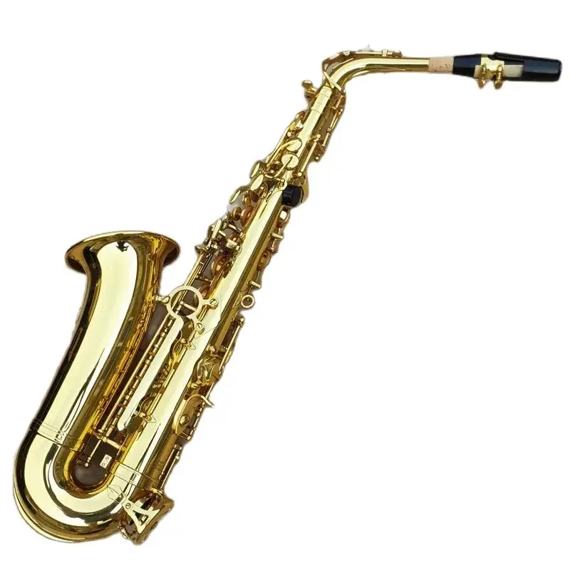 

JAS-669 New Arrival Alto Eb Tune Saxophone Brass Musical Instrument Gold Lacquer Sax With Case Mouthpiece Free Shipping