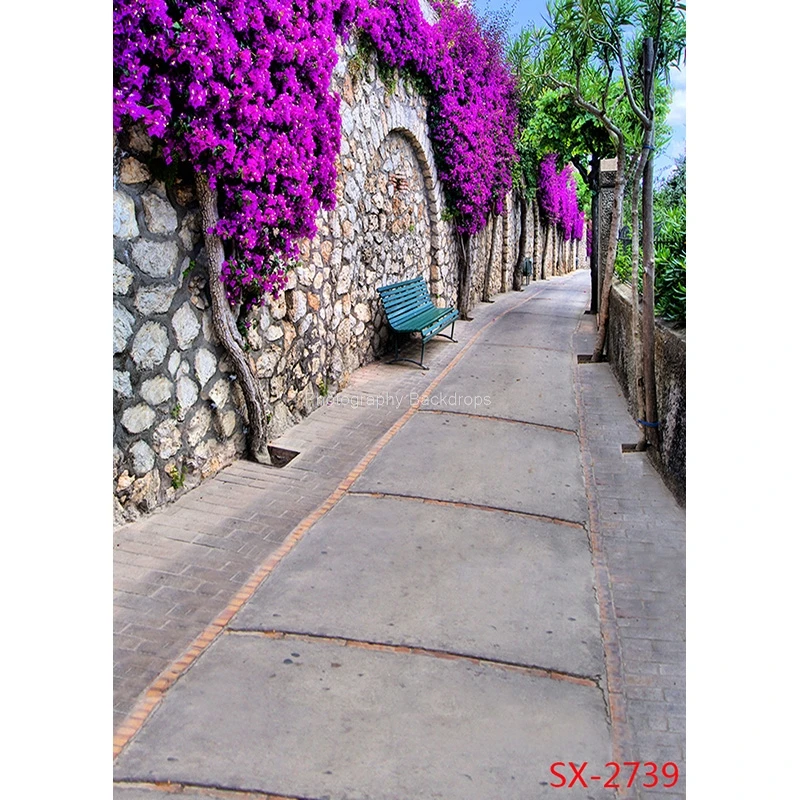 ZHISUXI Retro Europeo Street View Paesaggio Fondali Fotografia Puntelli Matrimonio Bambino Foto Sfondi StudioYXFL-78