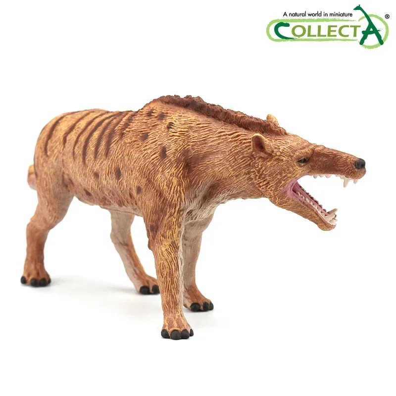 Collezione andrew wsarchus Deluxe 1:20 scala giocattoli classici modello animale figura 88772