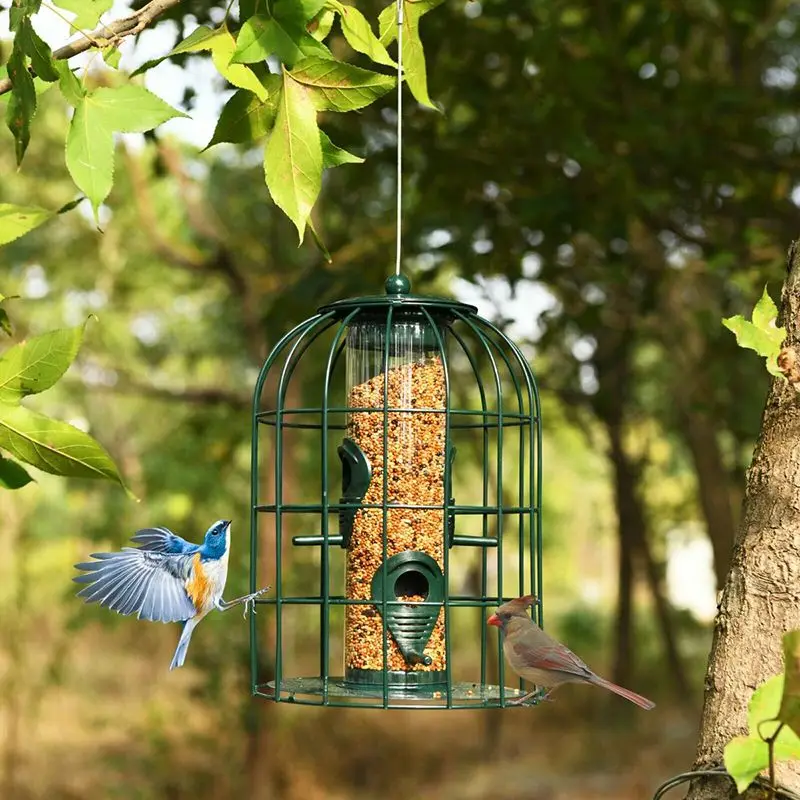 

Anti-squirrel outdoor metal tube wild bird feeder with seed protection and bird deterrent