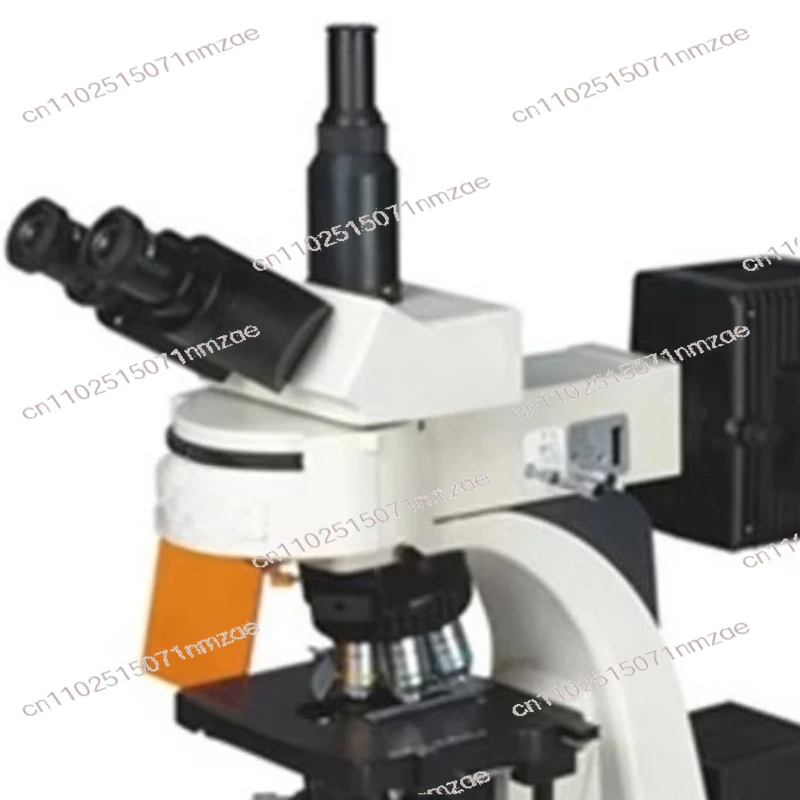 Digital Display XYL-606 High Performance Laboratory Fluorescence Optical Microscope