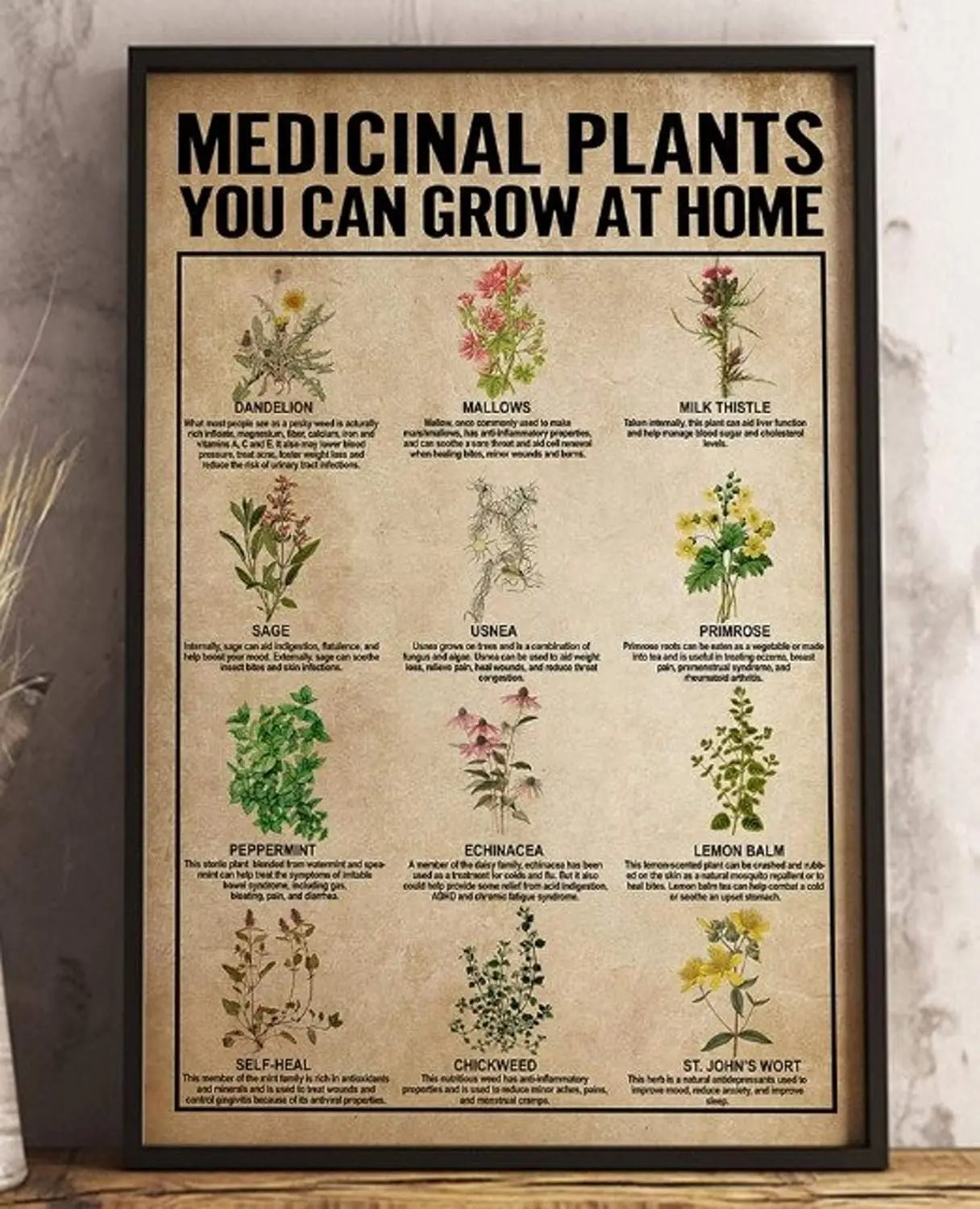 Plaque en métal vintage Krouterebs : Plantes médicinales à cultiver à la maison, Affiche de connaissances sur les plantes médicinales, Affiche de connaissances sur les plantes, Panneau B