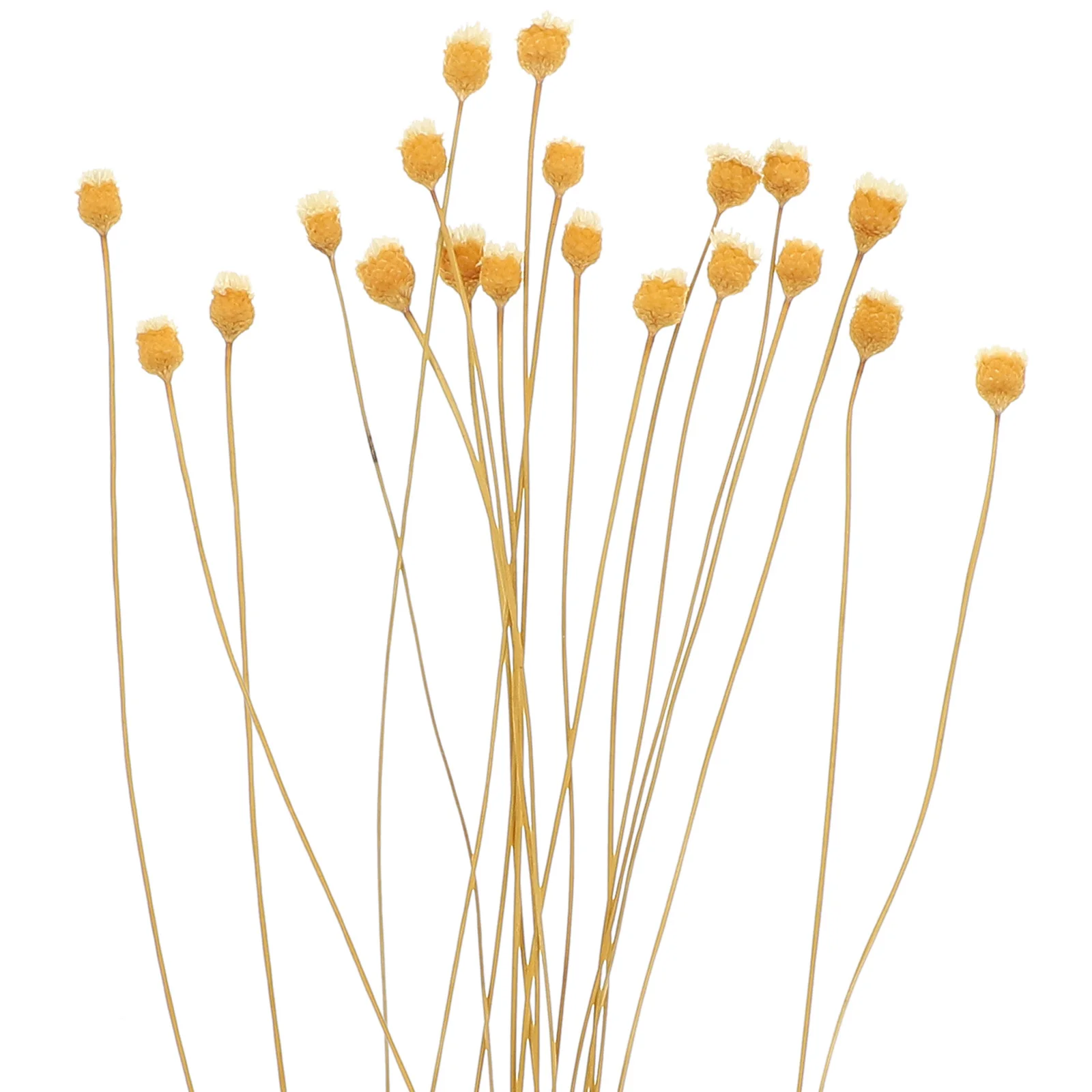 20 Pcs Perfume Aromatherapy Rattan Diffuser Flower Sticks Wand Replaceable Reeds