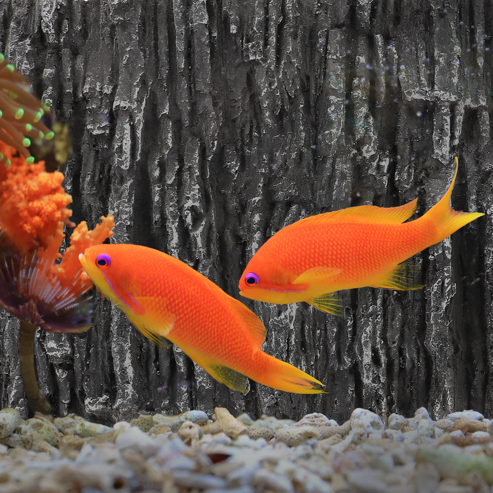 

3D Stereoscopic Decorative Panels Reptile Tank Background Fish Tank Boards Terrarium Wallpaper Custom Enclosure Backdrops PU