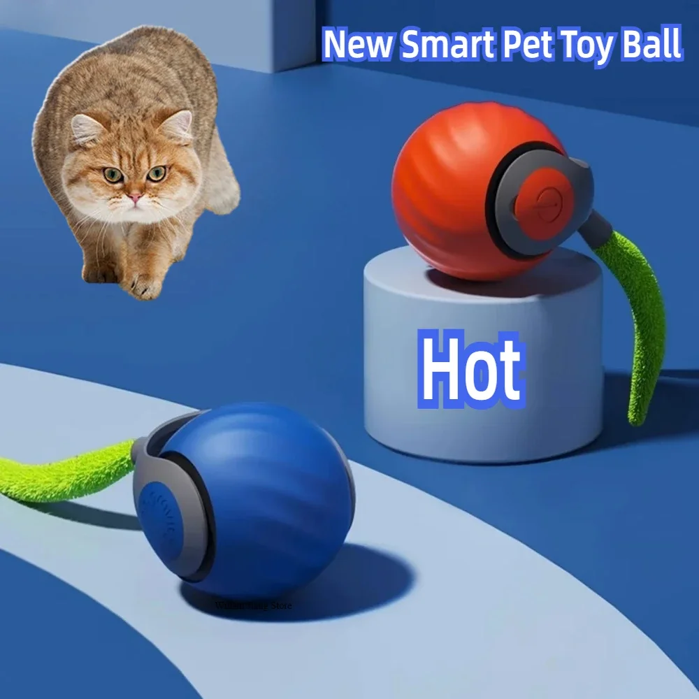 Interactive Cat Toy 2024 New Interactive Cat Toy Ball Small Tail Rolling Ball Toys for Cats Products Accessories Things Supplies