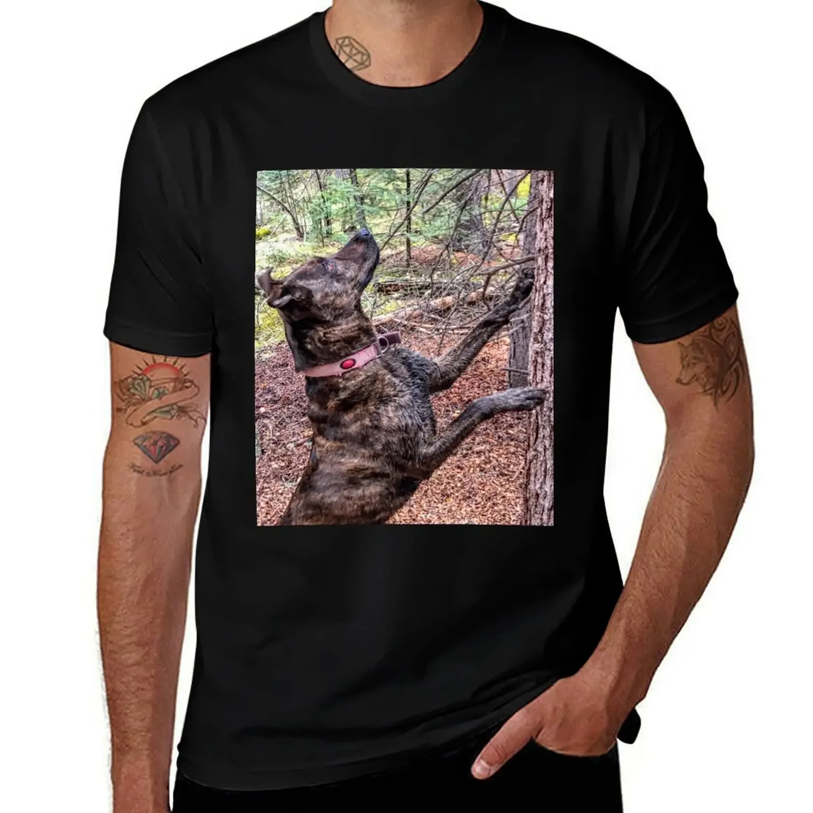 Squirrel Chasing Plott Hound T-Shirt street wear boys whites mens funny t shirts