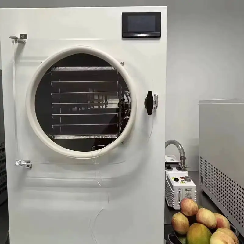 Household Commercial 10~20kg Yophilizer Freeze Dryer Small-sized Food, Fruits, Vegetables, And Chinese Herbal Medicine