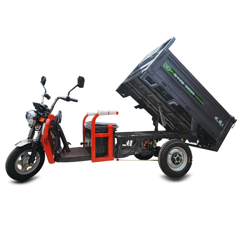 Factory Warehouse Loading Three Wheel Electric Dump Tricycle Cargo Motor Tricycle for Farm Breeding Plant