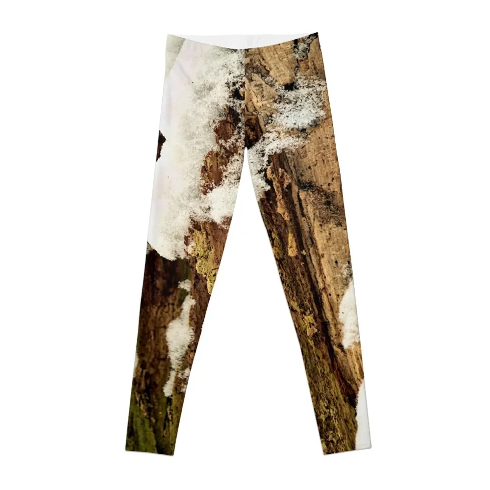 

Rotten tree stump in the first snow Leggings joggers for Fitness's gym clothes gym womans leggins push up woman Womens Leggings