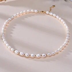 Natural Freshwater Pearls Rice Shape Multicolored Necklace Golden Beads S925 Sterling Silver Chain Fine Jewelry Gifts for Women