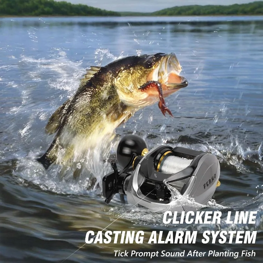 Baitcaster Reels 6