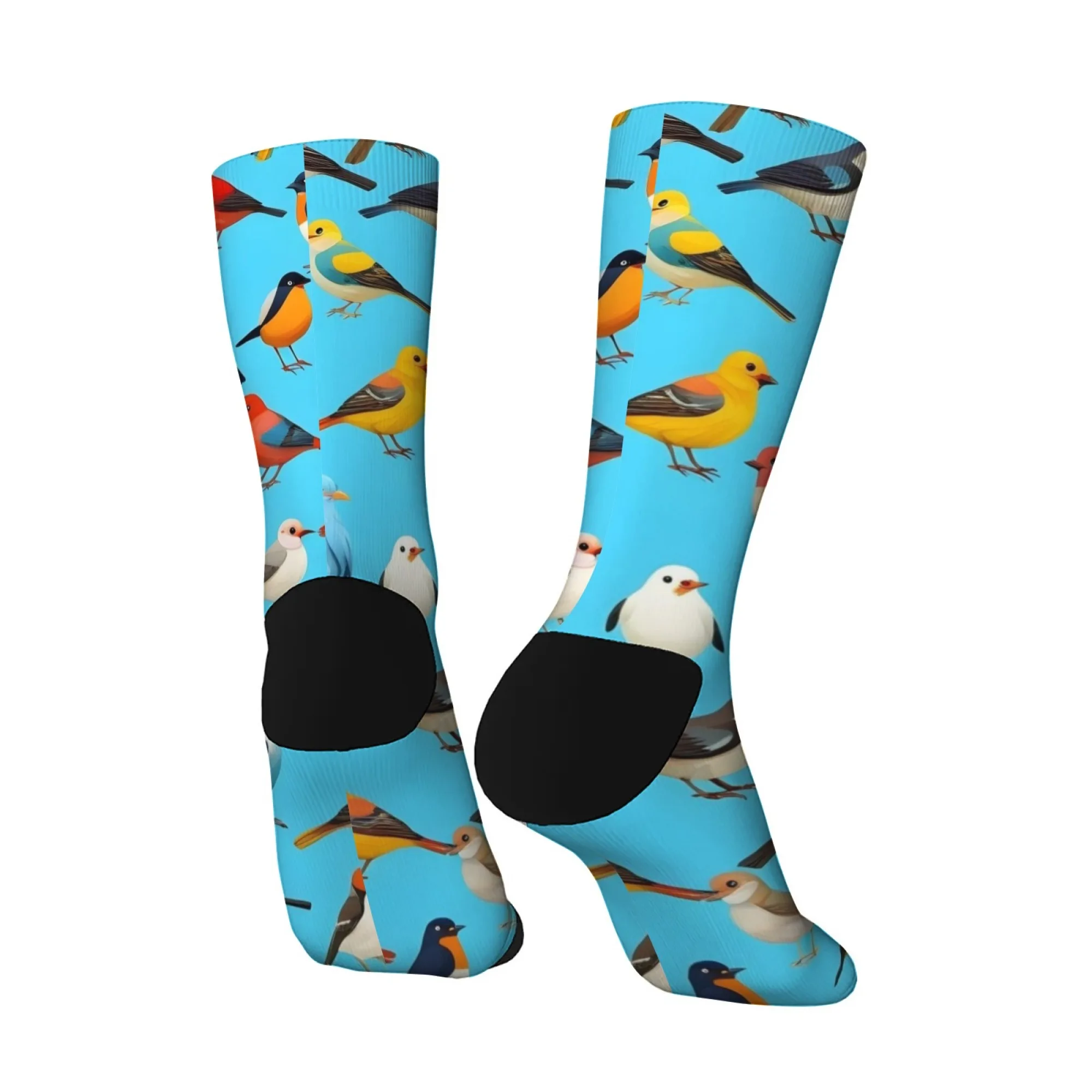جوارب ذات موضوع توضيحي للطيور مريحة تسمح بمرور الهواء وغير قابلة للانزلاق جوارب غير رسمية جديدة جوارب هاراجوكو للشارع الهيب هوب للرجال هدية ممتعة