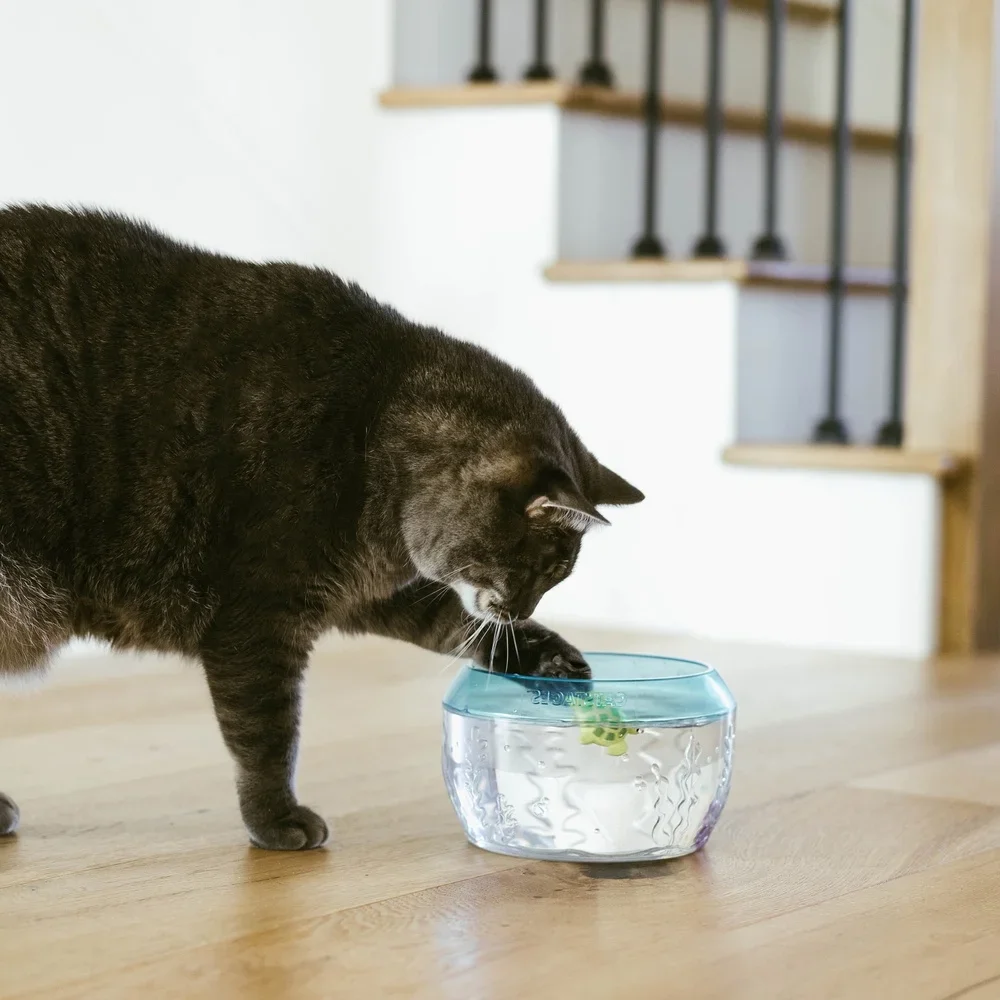 لعبة القط التفاعلية وعاء السمك مع الأسماك السباحة والسلحفاة العائمة للقطط الداخلية التحفيز العظلي واللعب