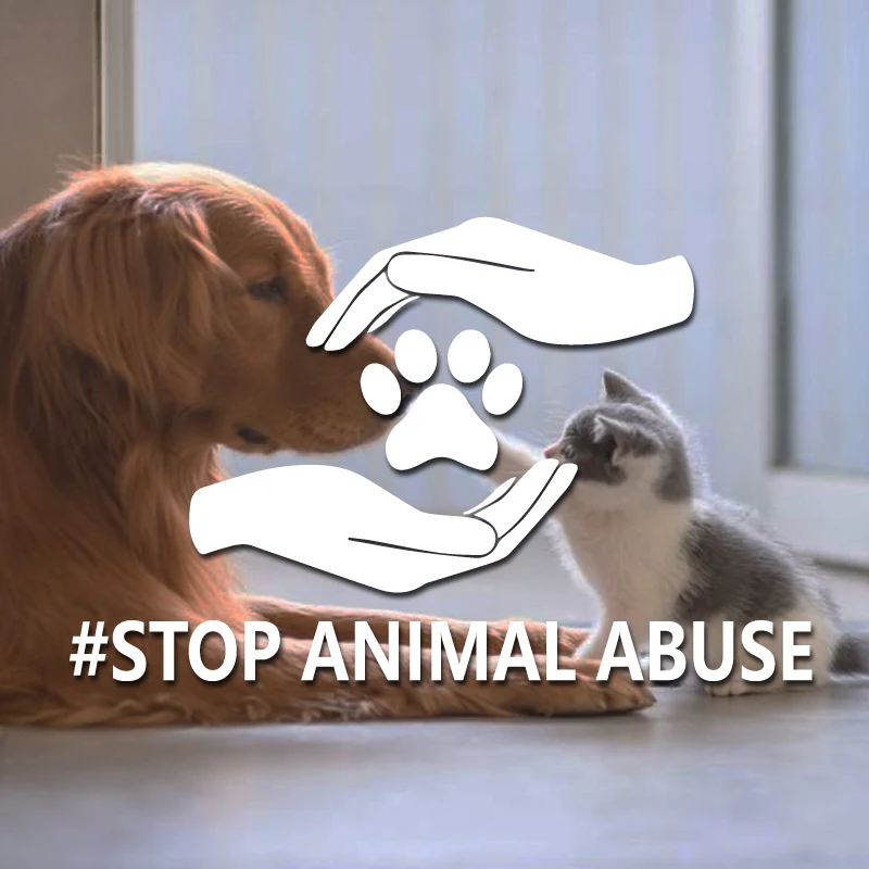 

"#STOP ANIMAL ABUSE"stickers,To arouse public attention and action on animal abuse issues.For car motor &laptops