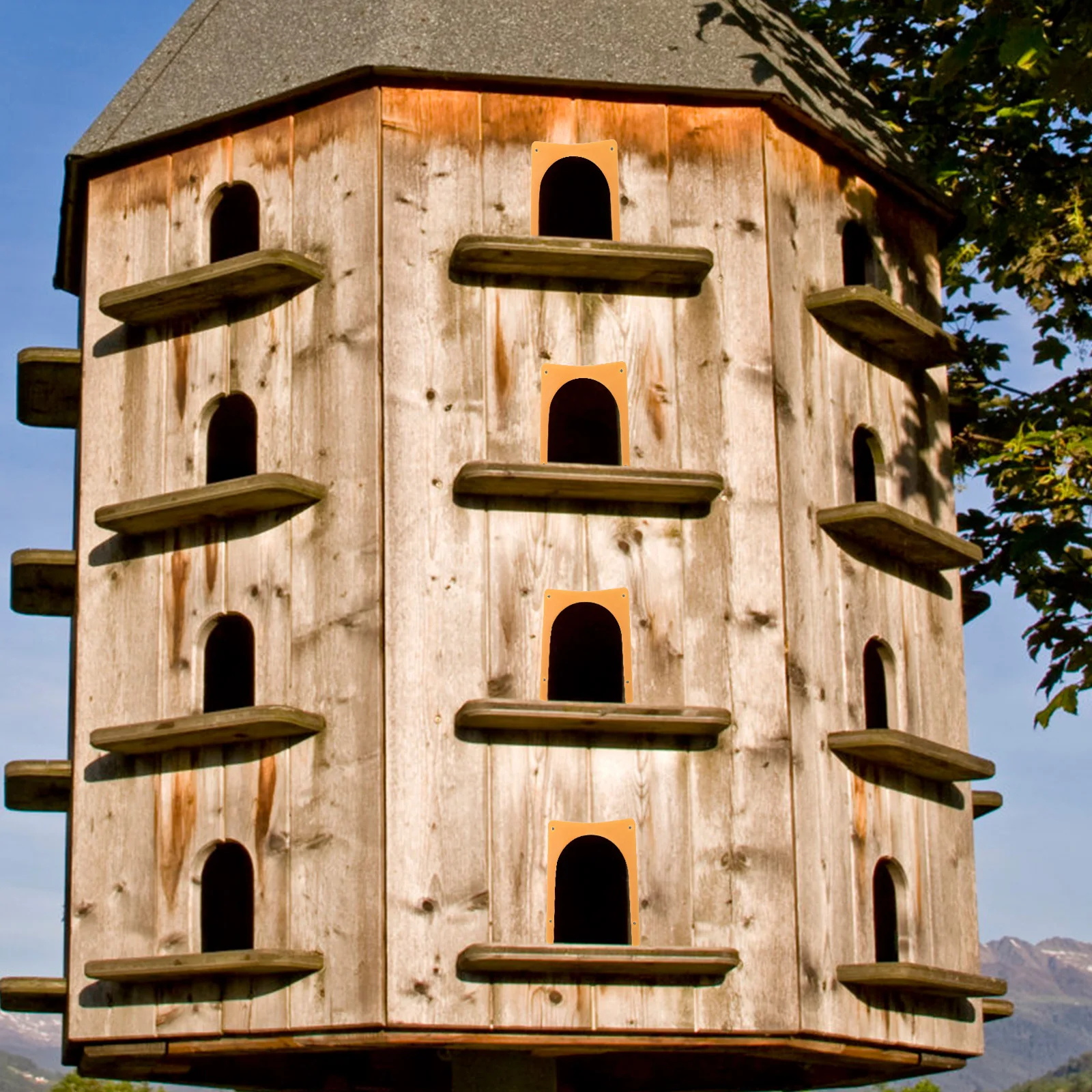 

Bird Cage Supplies Pigeon for Entering The Door Cages Entrance European