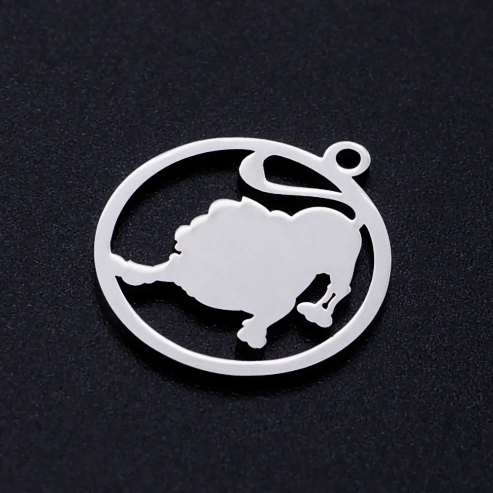 10 Pieces/lot 316 Stainless Steel 12 Constellation Zodiac Signs Earring Charm Wholesale Aries Gemini Pendants DIY Jewelry Charms
