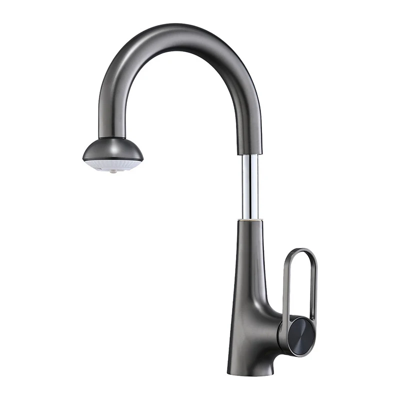 New Fashionable Household Dual-Function Basin Pull-Out Hot And Cold Water Faucet