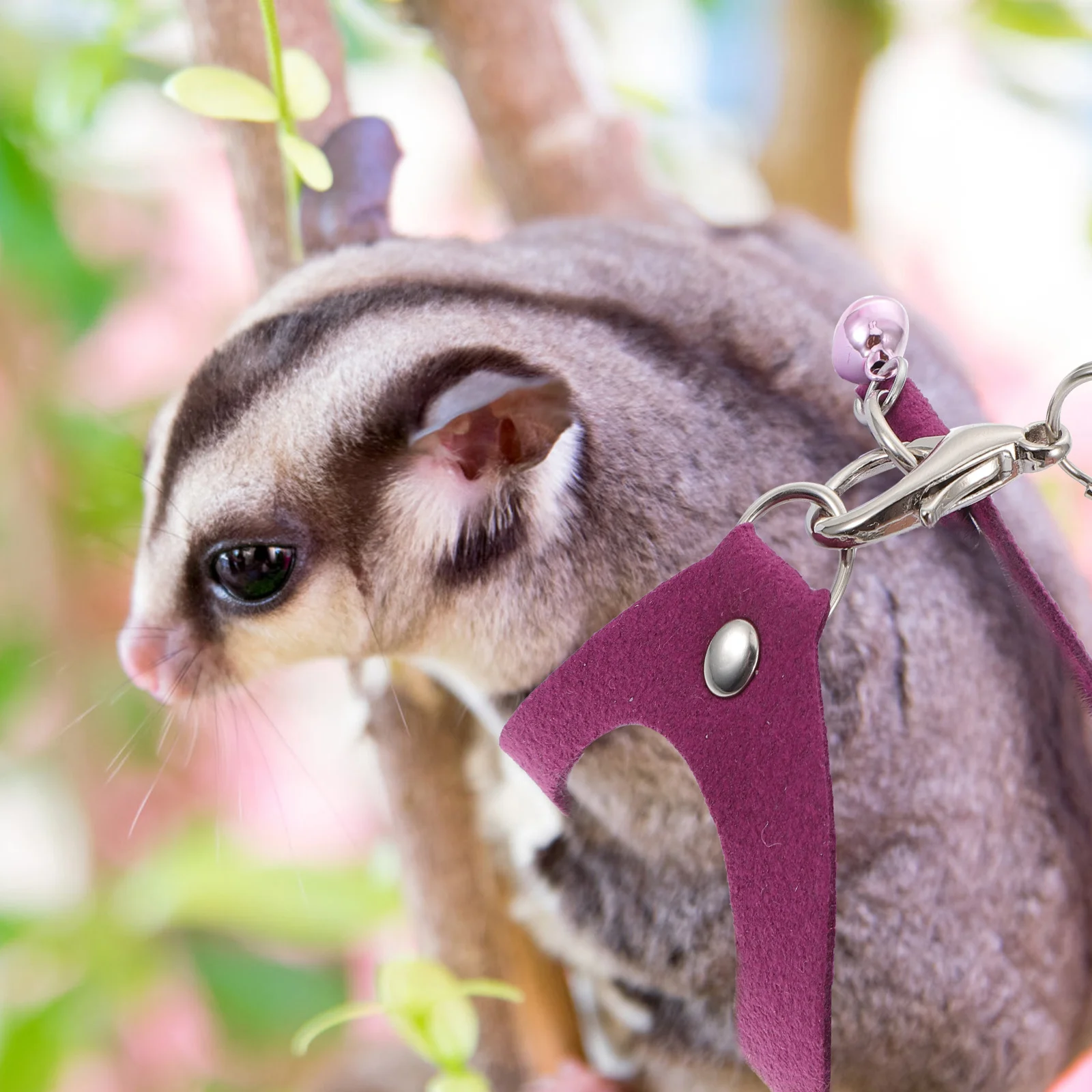 

1Set Sugar Glider Traction Rope Sturdy Fashionable Design Suitable Most Sugar Gliders Lightweight Little Pet Traction Ropes