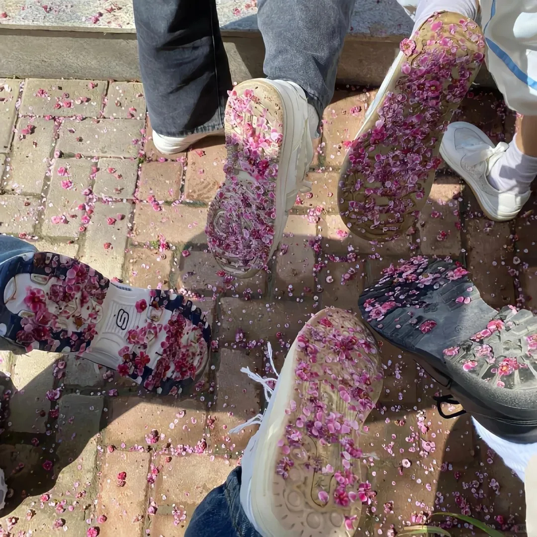 

Портативный диодный лазер Nd:YAG с модуляцией добротности (Q-Switched) и пикосекундным режимом, 532 нм, для безболезненного удаления волос и татуировок, новое косметологическое оборудование