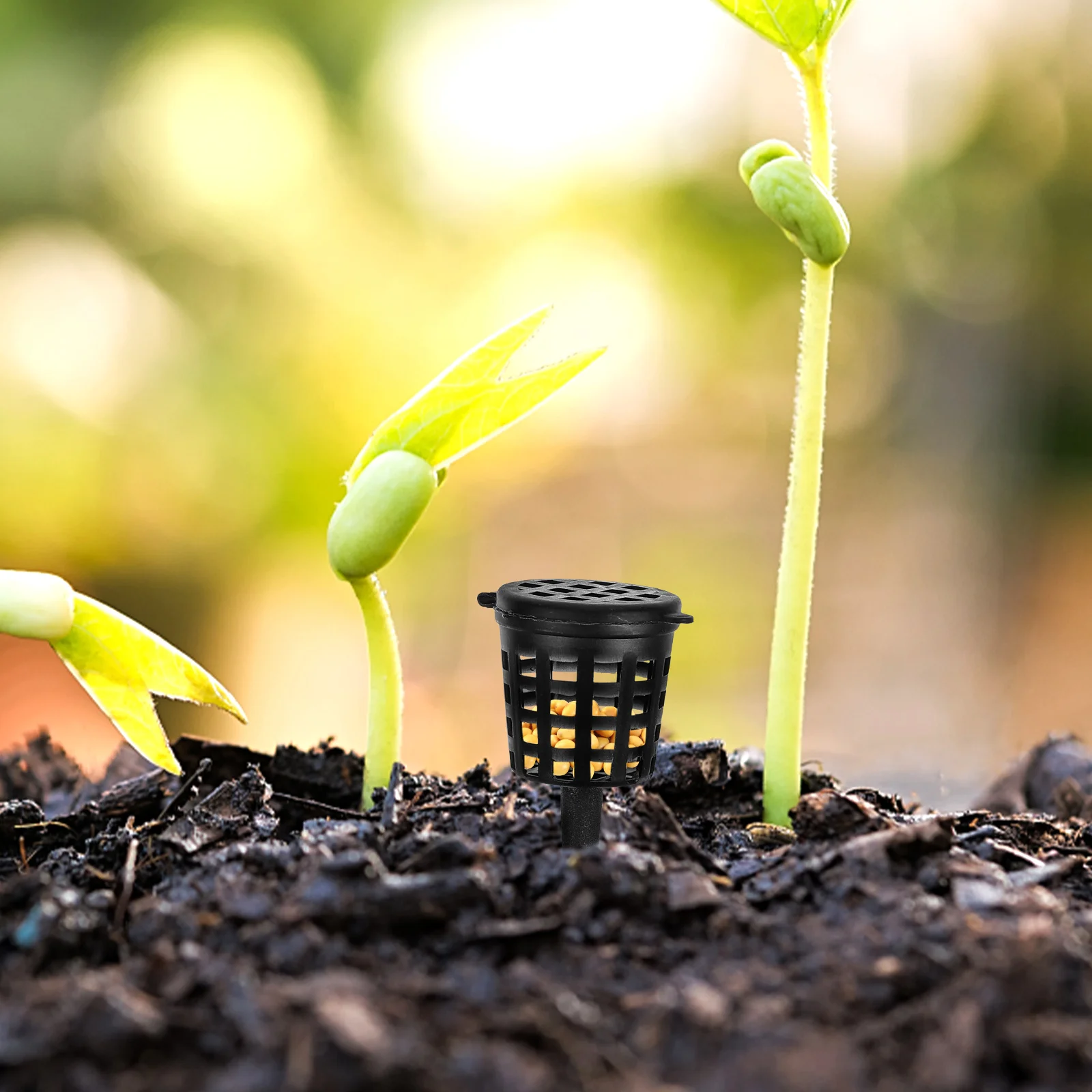 50pcs Baskets Plastic Container With Lid Portable Fertilizer Box For Bonsai Flower Pot Fertilizer Dispenser Garden Tool