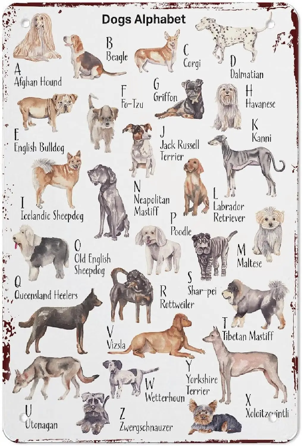 Kariteimo Dog Alphabet Metal Poster Sign Decor For Kids Children Boys Girls Vintage Decorations Aluminum 12x8 Inch Posters  sign