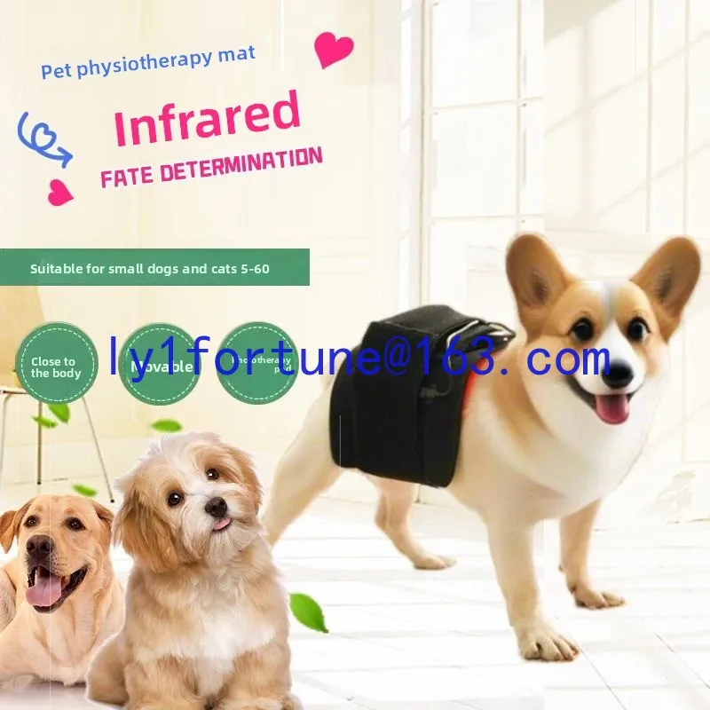 Pet Red Light Physiotherapy Device Postoperative Hip and Lumbar Spur Physiotherapy Device Pet Red Light Neuritis Light Blanket
