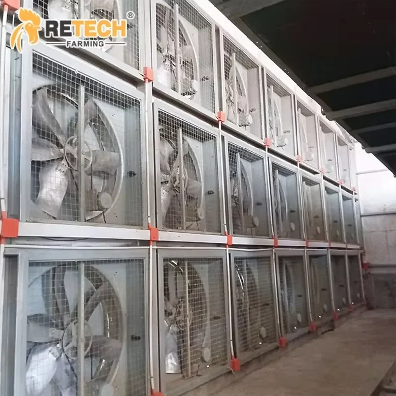Automatic Chain-type Harvesting System with Fans for Environment Control Broiler Poultry Farm Hot-dip Galvanized