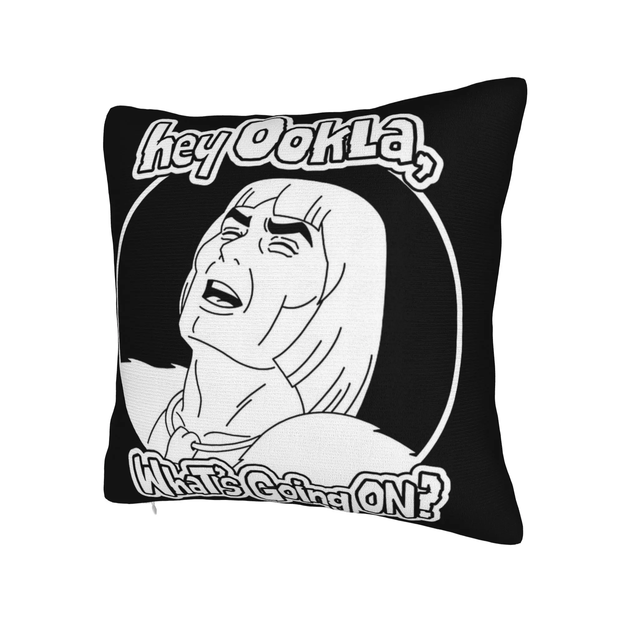 Thundarr the Barbarian Pillowcase Merch Soft Cushion Cover Decorative  Throw Pillow Case Cover Chair Multi-Size