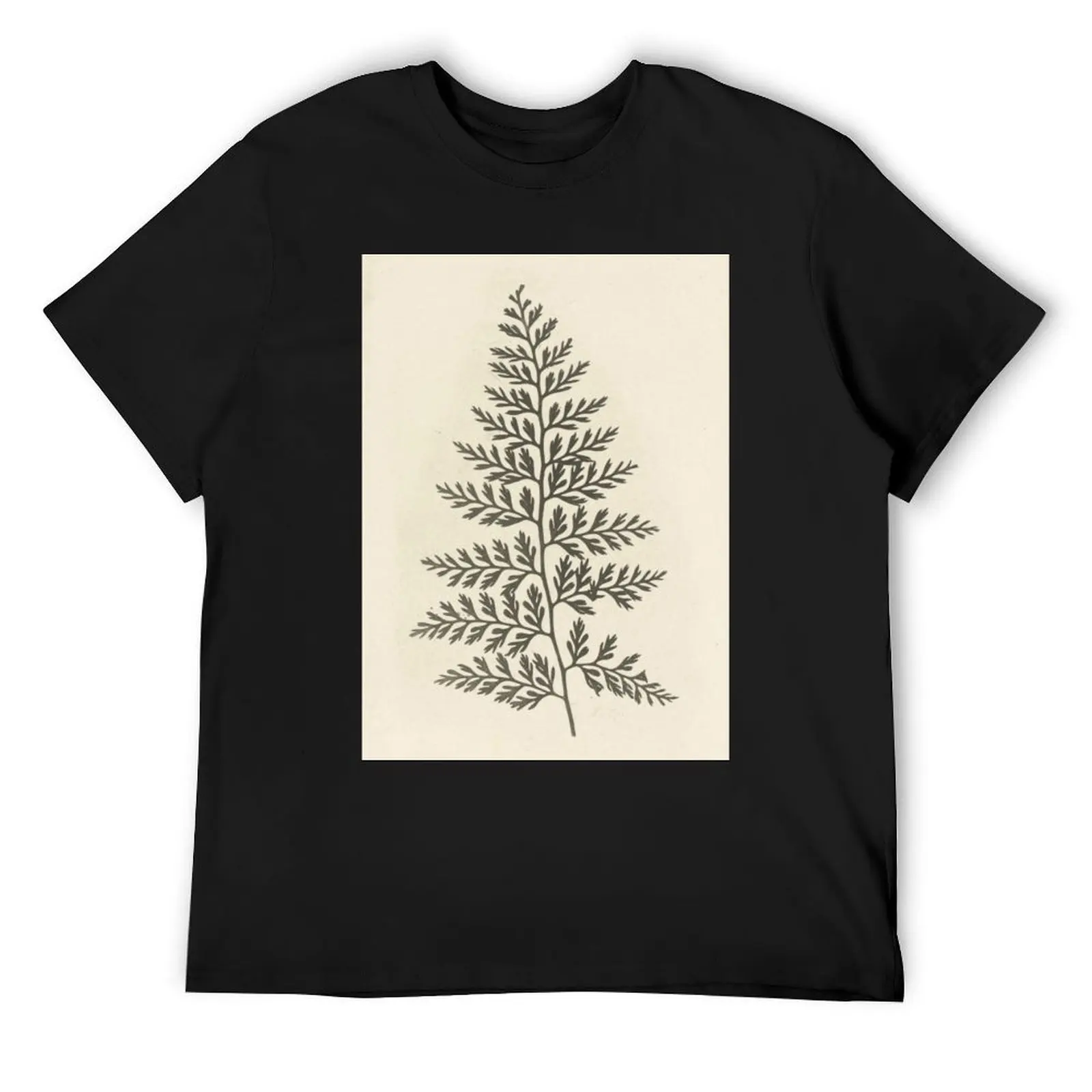

Naturalist Fern T-Shirt anime sports fans man clothes oversized t shirts for men