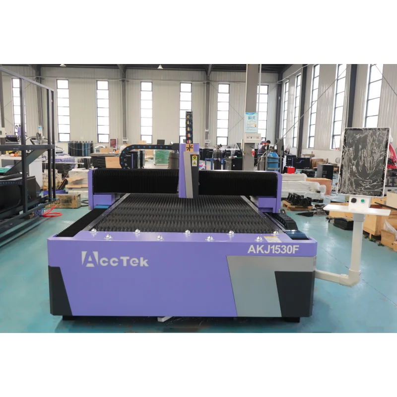 Customized Combined Fiber Laser Cutter Plasma Cutting Machine All in One for Variety Metal Cutting